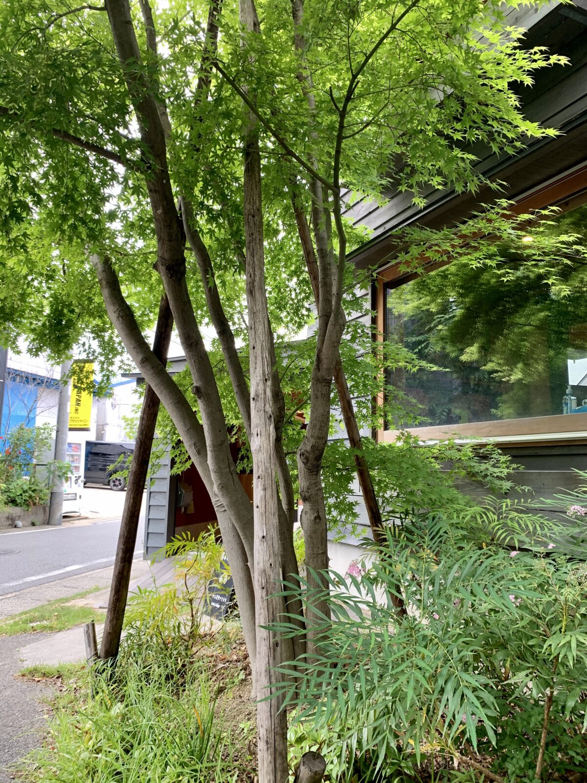 植栽とともに暮らす｜名古屋の工務店｜注文住宅・木の家が得意なコスモホーム