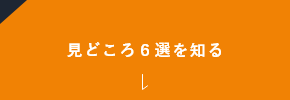 見どころ６選を知る